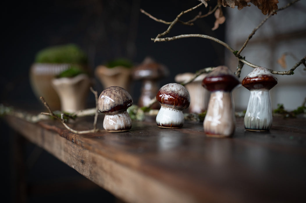 Mushroom Mini Set beige melange