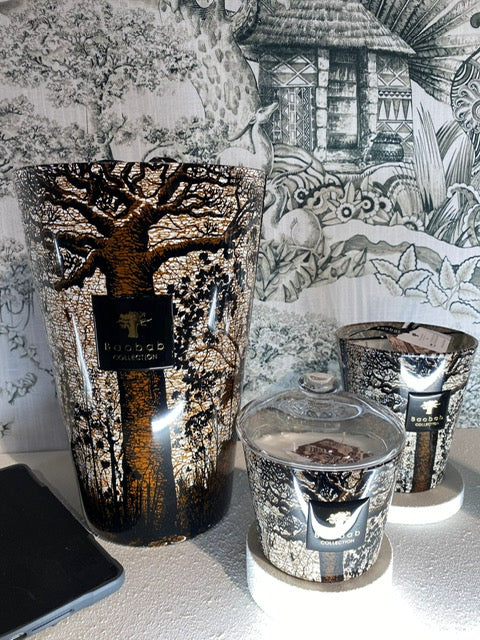 BAOBAB sacred trees Morondo