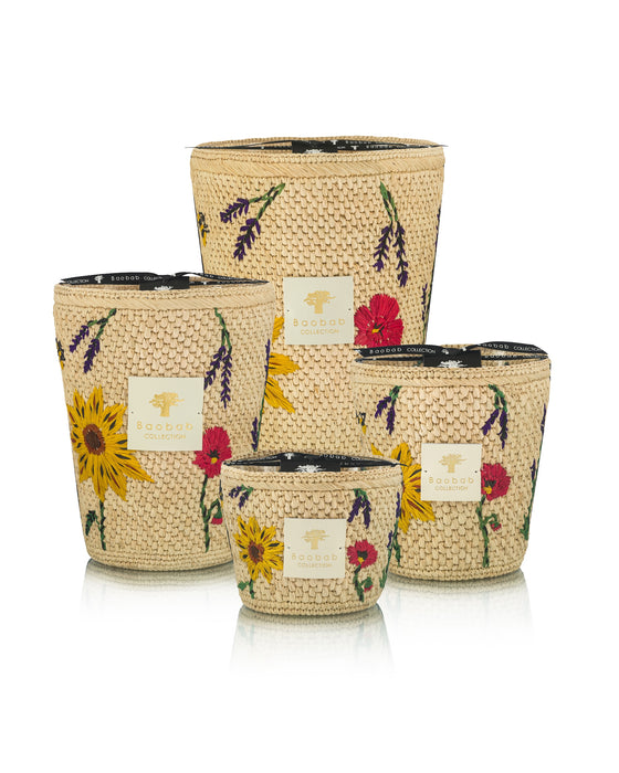 VORSCHAU Baobab Vony Ahitra