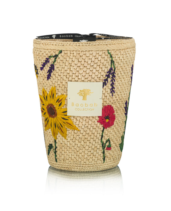 VORSCHAU Baobab Vony Ahitra