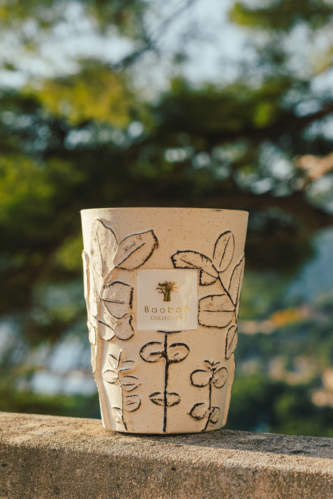 Baobab Folia Calanque