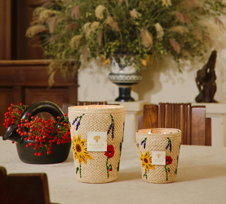 VORSCHAU Baobab Vony Ahitra