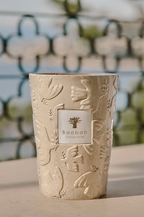 VORSCHAU Baobab Paz Paloma