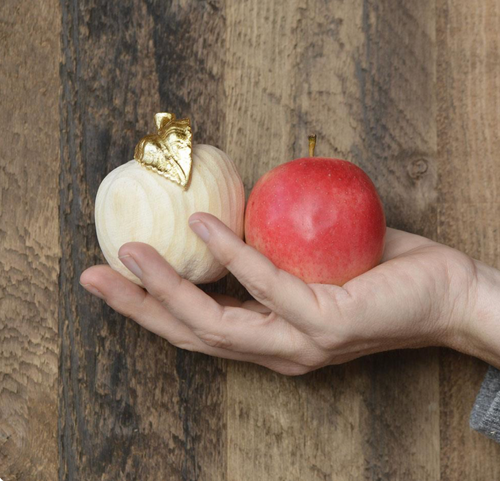 NEU! Serie Apfel  ... wunderschöne Früchte von DemiArt