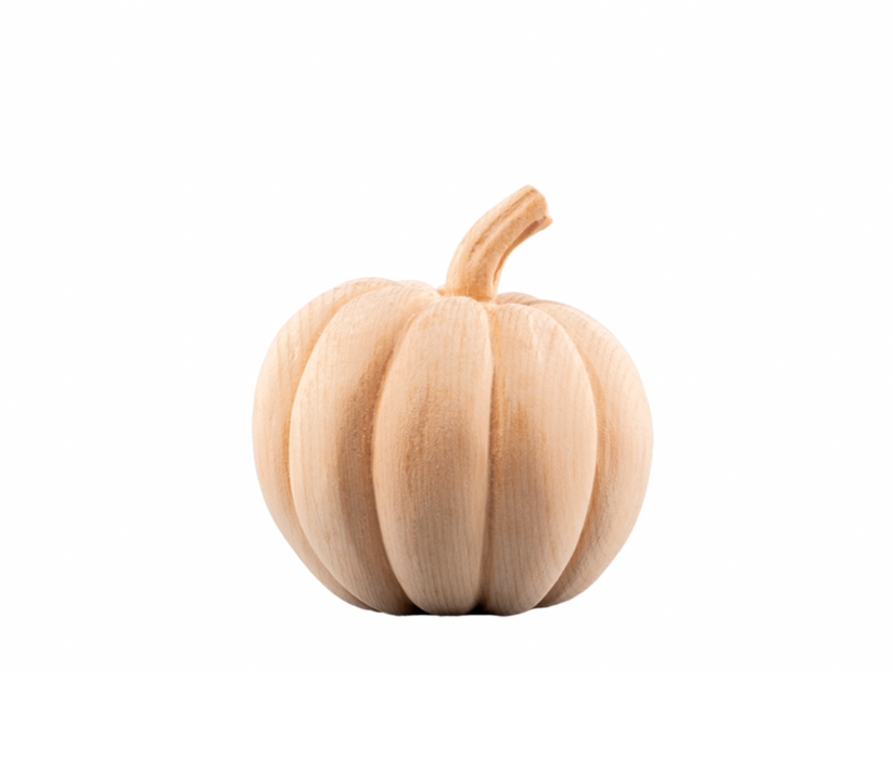NEU! Kürbis und Steinpilz von DemiArt