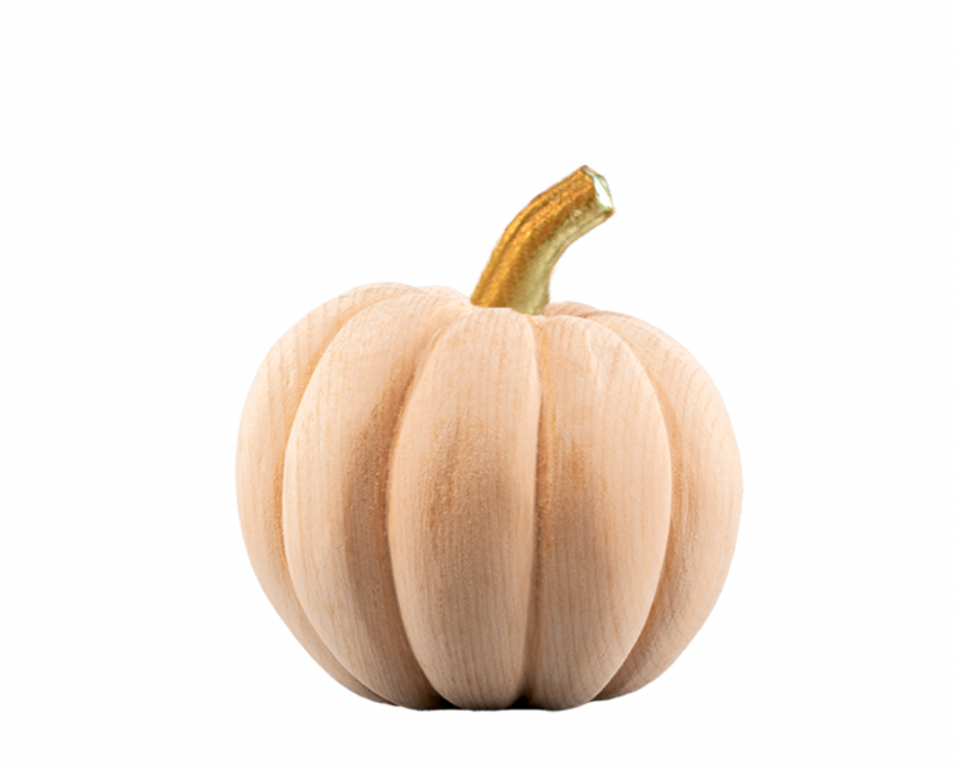 NEU! Kürbis und Steinpilz von DemiArt