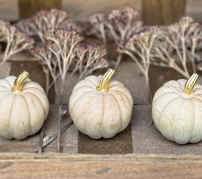 NEU! Kürbis und Steinpilz von DemiArt