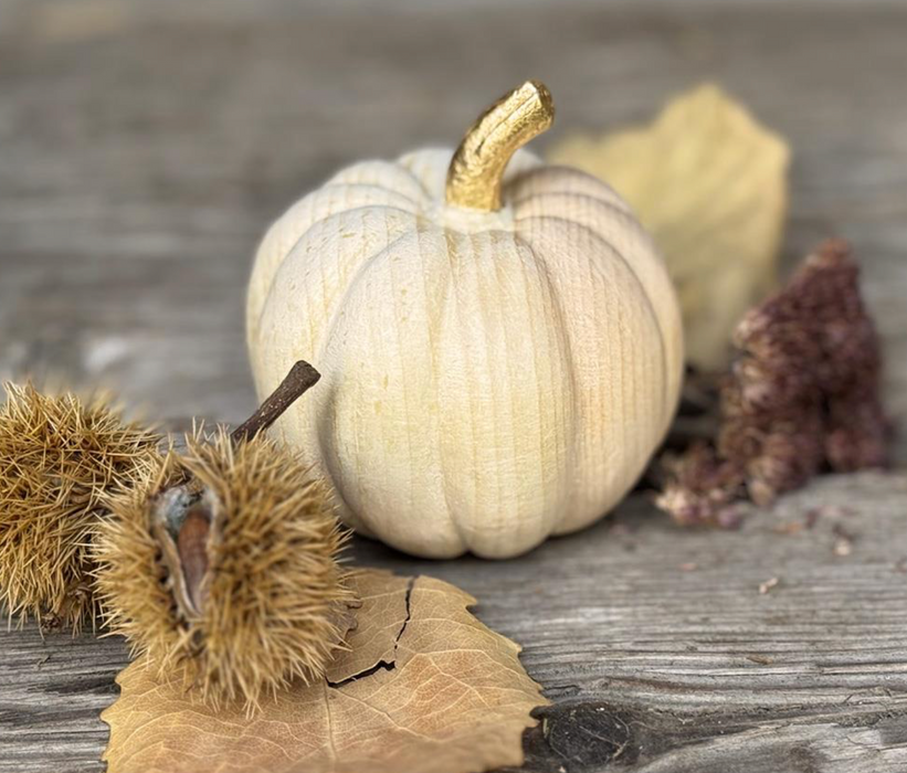 NEU! Kürbis und Steinpilz von DemiArt