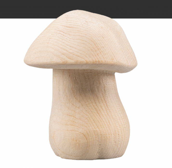 NEU! Kürbis und Steinpilz von DemiArt