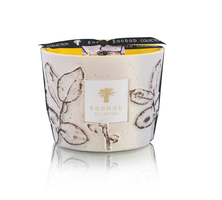 Baobab Folia Calanque