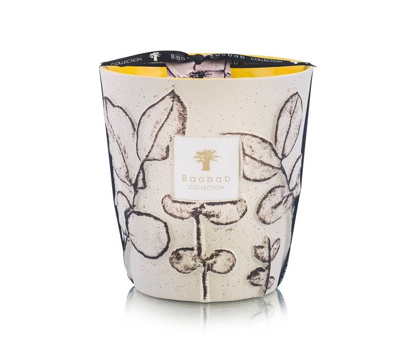 Baobab Folia Calanque