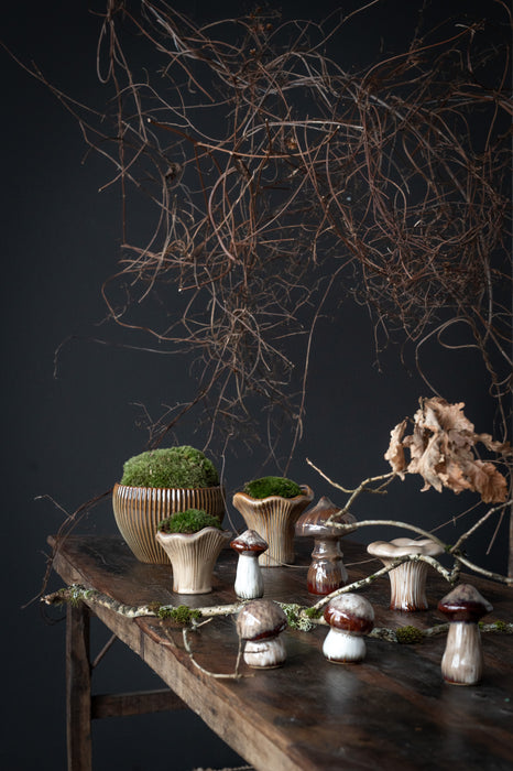 Mushroom Mini Set beige melange