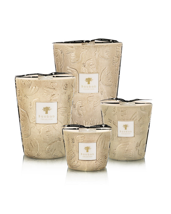 VORSCHAU Baobab Paz Paloma