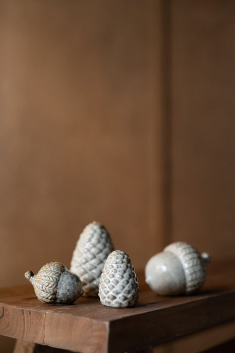 Acorn 2er Set