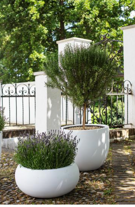 Schale Tribeca